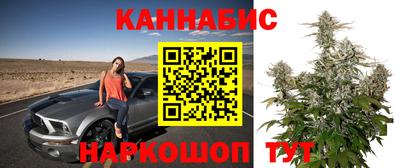 бошки Волгодонск