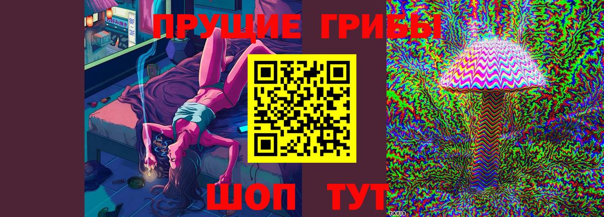 Рославль  Псилоцибиновые грибы ЛСД  Вход с VPN  Галлюциногенные грибы GOLDEN TEACHER 