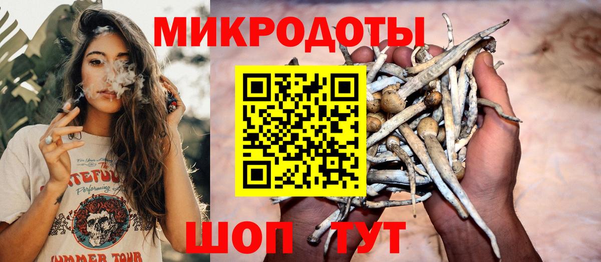 Псилоцибиновые грибы прущие грибы Рославль